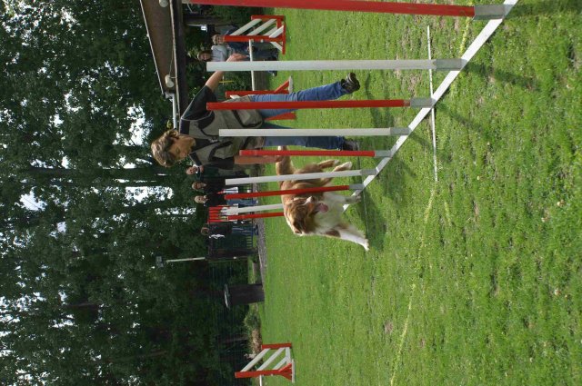 agility 2011-07-24